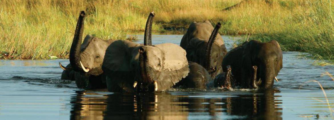 to Embassy of the Republic of Botswana in Washington, D.C